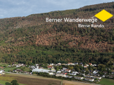 Mit Vorsicht im Wald wandern - erhöhte Gefahr durch Hitze- und Trockenschäden